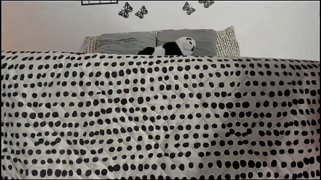 Snapshot of Keiny-Rave chatting on 03.18.25 Keiny-Rave online show from 03.18.25