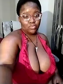 Damm Bobbies online show from 07.11.26