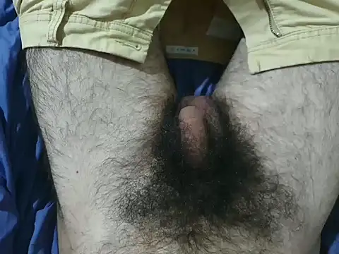 bomvemcam online show from 11.28.25