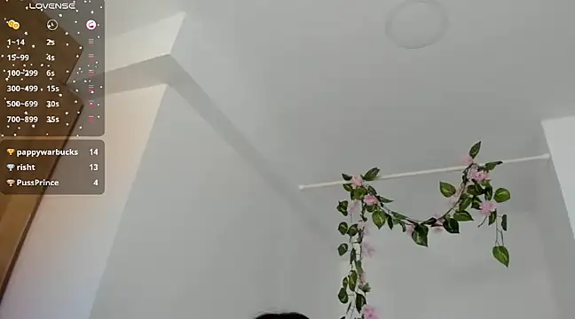 Snapshot of Ninna--1 chatting on 01.12.25 Ninna--1 online show from 01.12.25