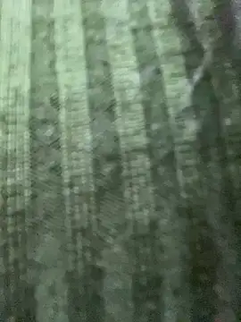 Rosita forever  online show from 02.24.25