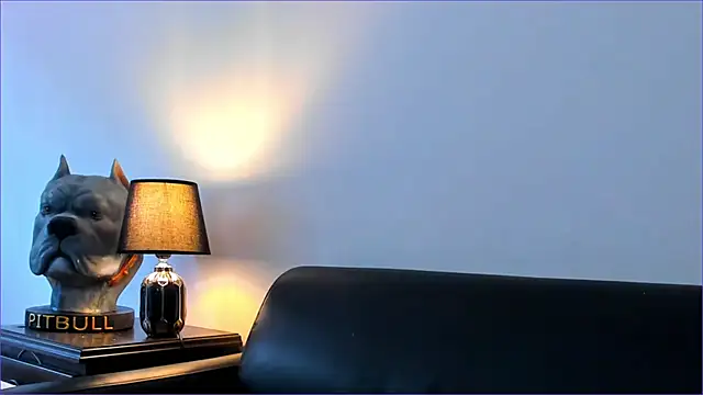 Snapshot of BradLeon_ chatting on 10.08.25 BradLeon  online show from 10.08.25