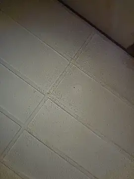 zaneporter46 online show from 10.31.25