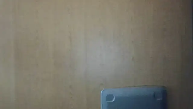 Snapshot of Dnasty408 chatting on 11.13.25 Dnasty408 online show from 11.13.25