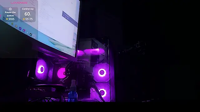 Snapshot of Yu_UwU_ chatting on 12.29.24 Yu UwU online show from 12.29.24