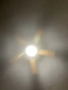 lesvenn online show from 12.29.24