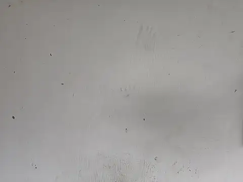 Snapshot of fs_carioca chatting on 12.02.25 fs carioca online show from 12.02.25