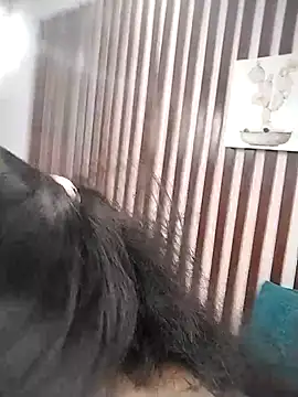 KRYSSTARITTER4 online show from 03.22.25