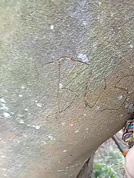 BELLA--26 online show from 02.02.25