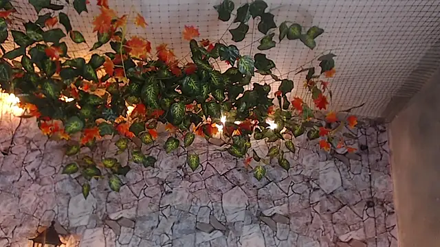 Lancelot Benwick online show from 01.07.25