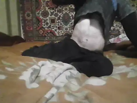 AlferezzSolvajo online show from 03.21.25