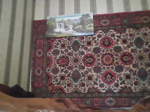 AlferezzSolvajo online show from 11.21.25