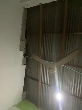 elflalope online show from 03.15.25