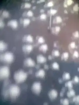 Amaya Bajwa online show from 11.15.25