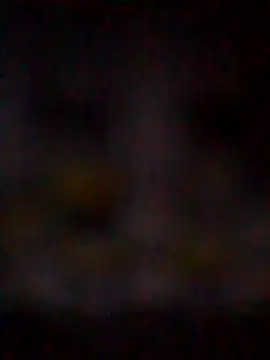 missAmanda69 online show from 07.29.26