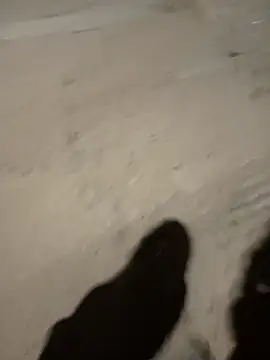 the queen of street online show from 01.08.25