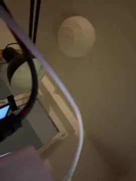 shiny bunnyyy online show from 01.21.25