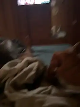 Snapshot of ferdi190 chatting on 10.11.25 ferdi190 online show from 10.11.25