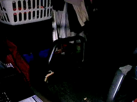 Snapshot of SergCarMX1 chatting on 10.06.25 SergCarMX1 online show from 10.06.25