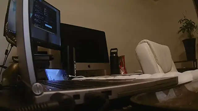 Snapshot of MrDaddyBbSnake chatting on 04.24.26 MrDaddyBbSnake online show from 04.24.26