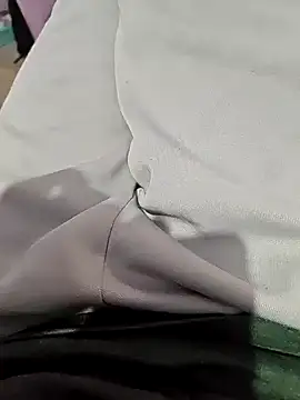 Snapshot of braveman999 chatting on 01.25.25 braveman999 online show from 01.25.25