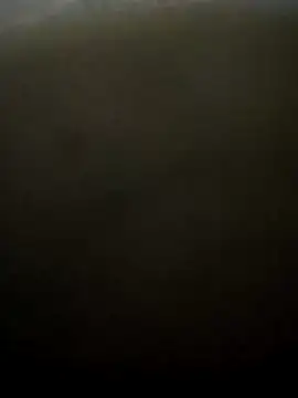 puneribull online show from 03.08.25
