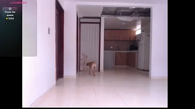 leslycarsson online show from 10.07.25