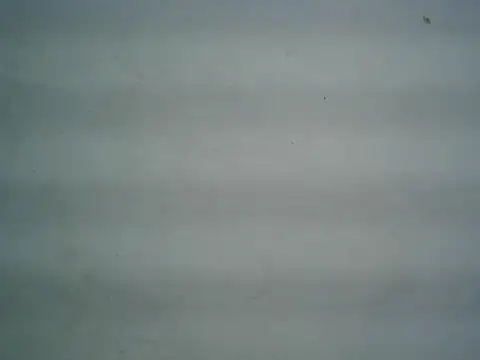 michel1520 online show from 06.09.26