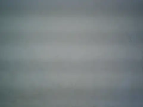 michel1520 online show from 06.12.26