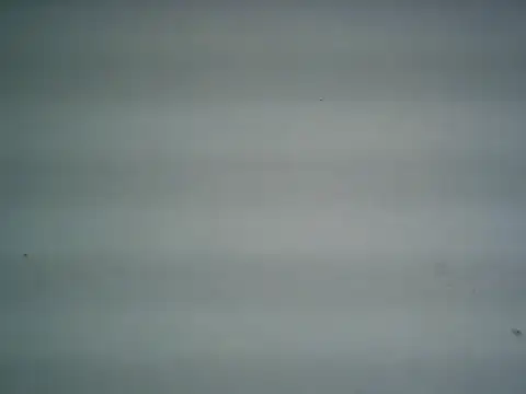 michel1520 online show from 06.27.26