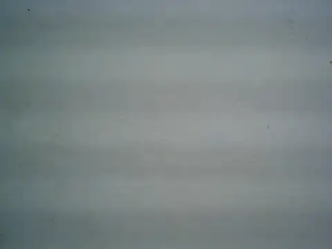 michel1520 online show from 06.30.26