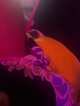 Lilymoonshow online show from 03.17.25