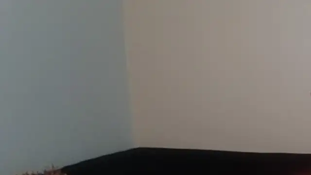 hairyncuteass online show from 02.13.25