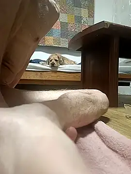 Snapshot of Bisexualhard23 chatting on 01.18.26 Bisexualhard23 online show from 01.18.26