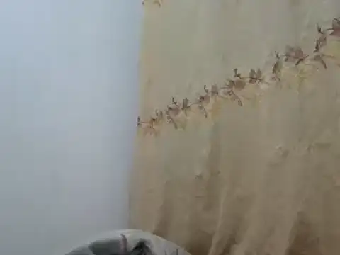 Snapshot of Sr_JakoXXXX chatting on 02.20.25 Sr JakoXXXX online show from 02.20.25