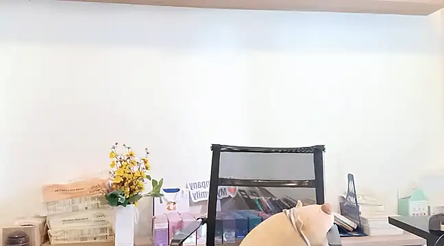 Snapshot of Lush-Office chatting on 03.12.25 Lush-Office online show from 03.12.25