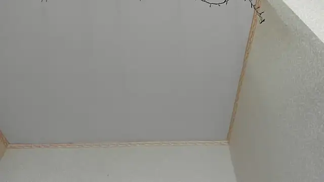 Snapshot of Browni_Kiss chatting on 01.16.25 Browni Kiss online show from 01.16.25