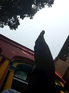 Snapshot of xx54362 chatting on 03.01.25 xx54362 online show from 03.01.25