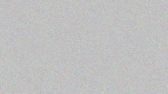 Elsa-bad online show from 02.22.25