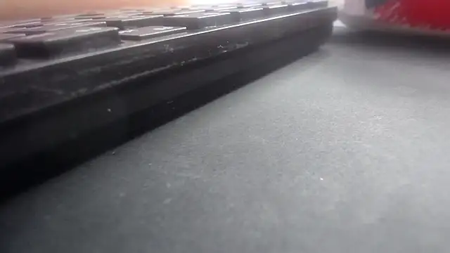 Kitten Cam online show from 04.29.26