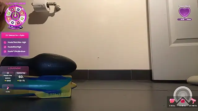 Snapshot of Prolapse_Pig chatting on 03.11.25 Prolapse Pig online show from 03.11.25