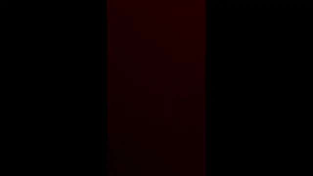 Prolapse Pig online show from 02.23.26