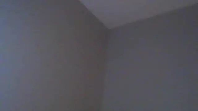 geld 88 online show from 03.12.25