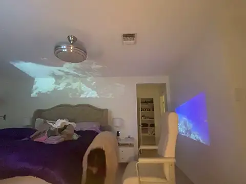 geld 88 online show from 10.04.25