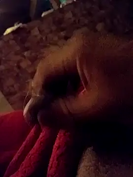 srecet online show from 02.01.25