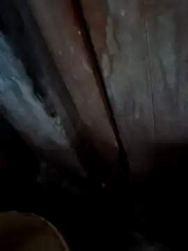 Raj41 online show from 11.28.25