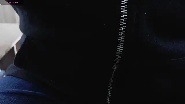 Snapshot of IndienTiger chatting on 02.09.26 IndienTiger online show from 02.09.26