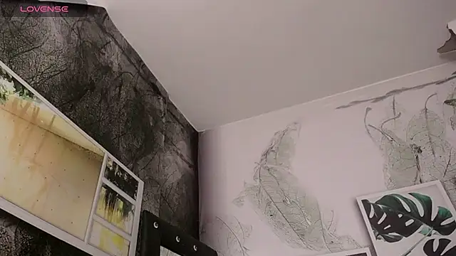 Frank Millers online show from 02.22.25