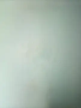 Snapshot of randit7 chatting on 03.02.25 randit7 online show from 03.02.25