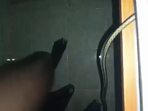 world bigdick1 online show from 03.02.25